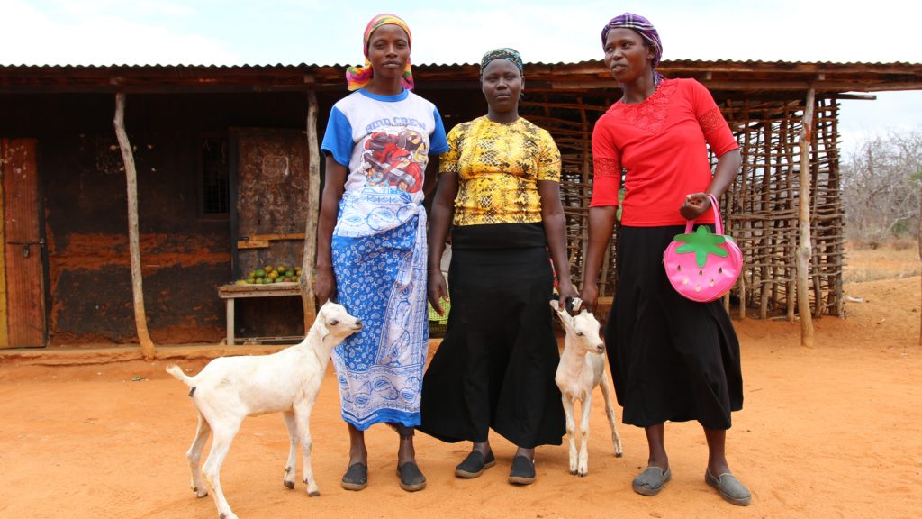 Mwethi Mwendi tok et mikrolån på 100 USD, kjøpte geiter og forbedret levekårene for en hel landsby